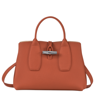 Roseau porté main M Longchamp brique